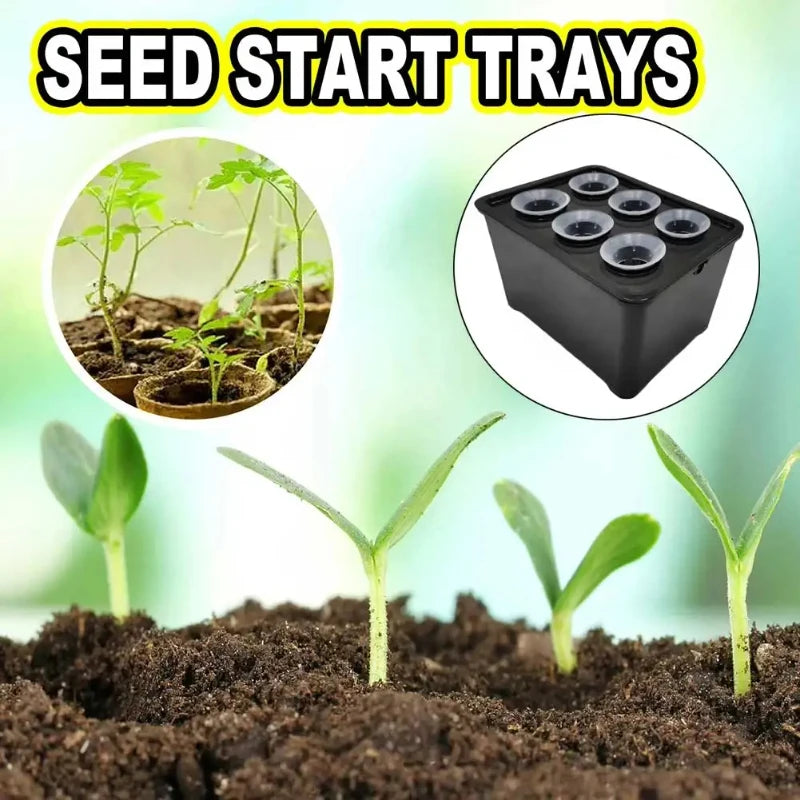 hydroponic seedling starter kit, indoor soilless vegetable and herb growing system, perfect for balcony gardening