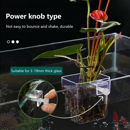 Fish  Aquarium Water Grass Cup Multiple Plant Hydroponics Hydroponic Planting Basket For Fish Tank Landscape Home Garden