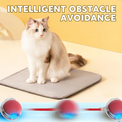 Interactive Cat Toys for Indoor Cats Rechargeable 360° Automatic Moving Cat Toy for Bored Indoor Adult Cats Motion Kitten Toys