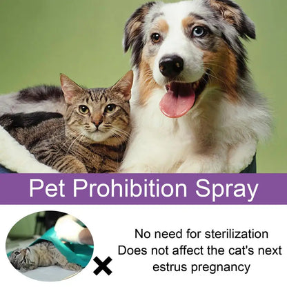 Pet Estrus Calming Spray Safe Healthy Calming Diffuser Cat Anti Anxiety Liquid Prevent Howling Soothe Mood For Calming Emotions