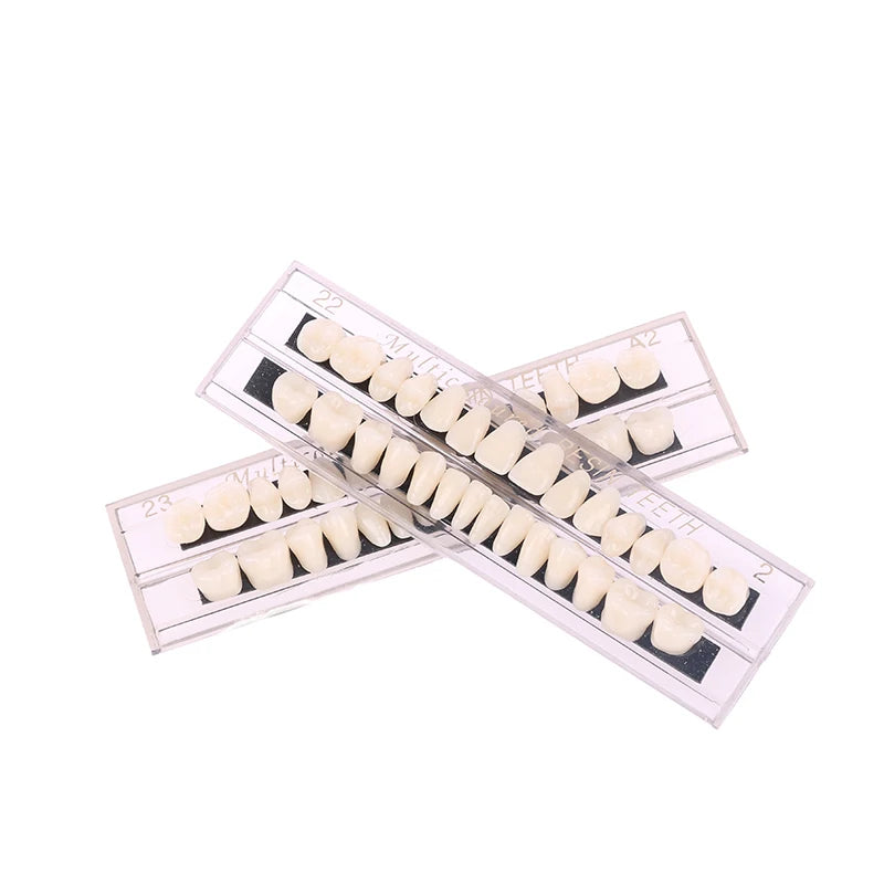 Dental Material Teeth Teaching Model Dedicated Teeth Dental Material Teeth Care Tool Dental Oral Material