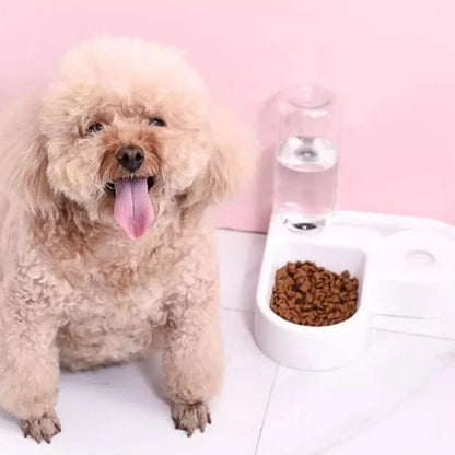 Automatic Water Bowl Feeder with Dispenser - Corner Pet Food Dish Moisture-Proof Drinking & Feeding Bowl for Dogs and Cats