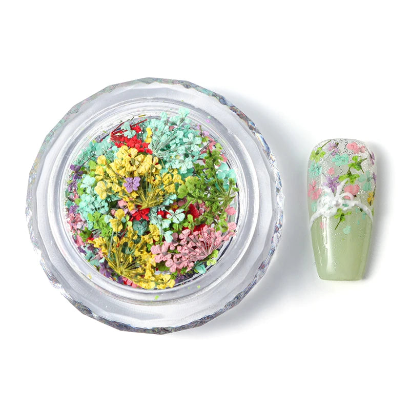 1 Box Nail Art Flower Decoration Delicate Dried Flower Nail Art Decorations Exquisite Nail Art Beauty For Charms Accessories