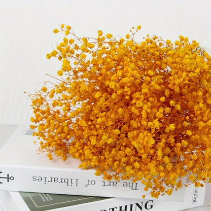 130g Natural Dried Preserved Flowers Babys Breath Home Decoration Natrual Gypsophila Wedding Decor Artificial Flower Photo Props