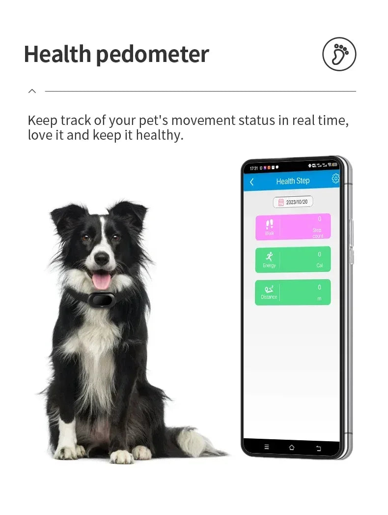 2G/ 4G GSM GPS Pet Tracker Voice Monitor, Pet Dog Gps Anti Loss Mini Tracker IP67 Waterproof Built-in 1300 MAh Battery Locator