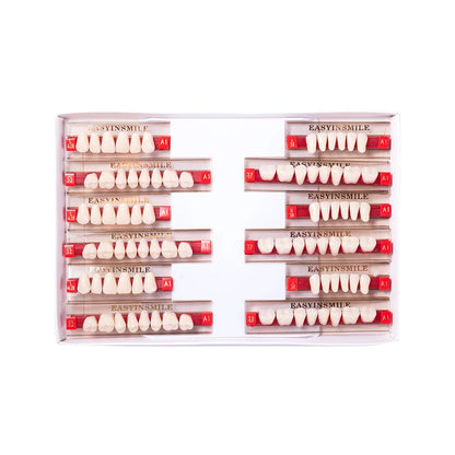 16/12 Sets/ Box Dental Teeth Anterior Posterior Polymer Denture acrylic Tooth A2 A3 2 Layers Dentistry Materials Education Model