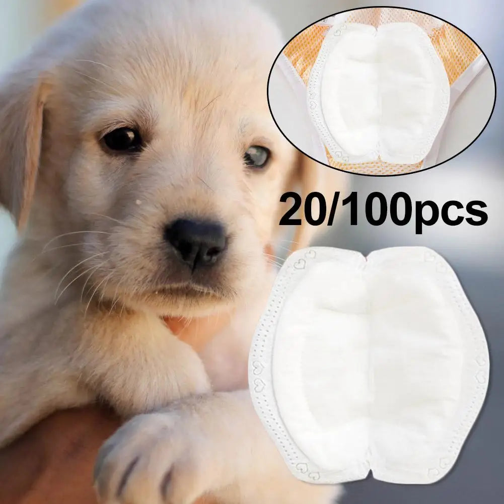 100pcs Dog Diaper Pad Diapers for Female Dog Shorts Panties Disposable Dog Diaper Liners Booster Pads Doggie Physiological Pant