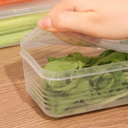 1/5PCS Refrigerator Storage Boxes Scallions Fresh Box Food Container Cold Storage Crisper Sealed Fridge Organiser with Lid Jars