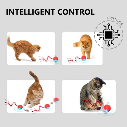 Interactive Cat Ball Toys Active Rolling Ball for Cats Smart Interactive Cat Toys Electric Cat Toy Ball Rechargeable Pet Toys