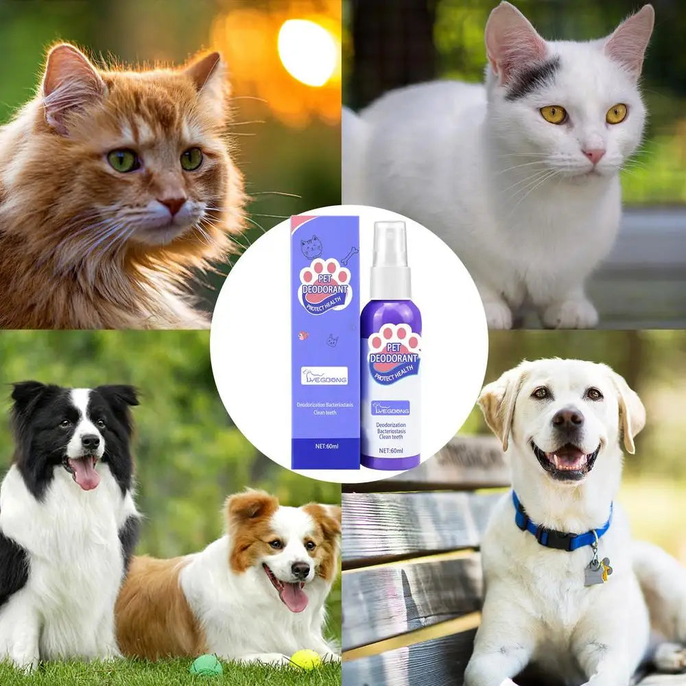 60ml Pet Oral Cleanse Spray Dogs Cats Mouth Fresh Teeth Clean Deodorant Prevent Calculus Remove Kitten Bad Breath Pet Supplies