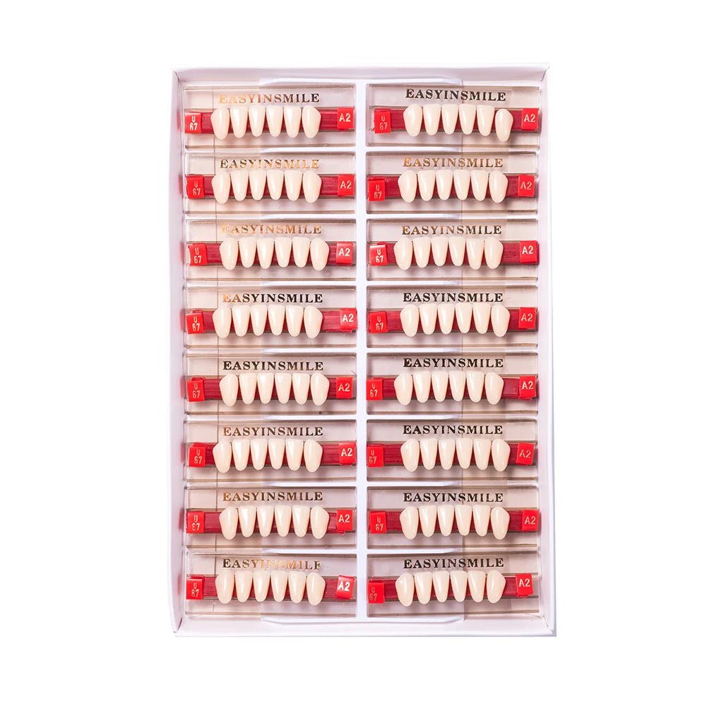 16/12 Sets/ Box Dental Teeth Anterior Posterior Polymer Denture acrylic Tooth A2 A3 2 Layers Dentistry Materials Education Model