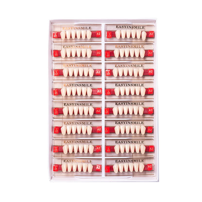 16/12 Sets/ Box Dental Teeth Anterior Posterior Polymer Denture acrylic Tooth A2 A3 2 Layers Dentistry Materials Education Model