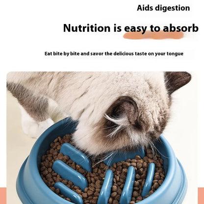 Slow Feeder Dog Bowls Anti-Choking Puzzle Dog Food Bowls, Anti-Slip Interactive Feeding Slow Down Eating, Bloat Stop Maze Dishes