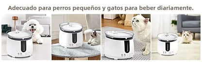 AQHH App Control Cat Water Fountain Wireless Pump Pet Water Fountain Inside Automatic Smart Fountain fuente de agua para gato