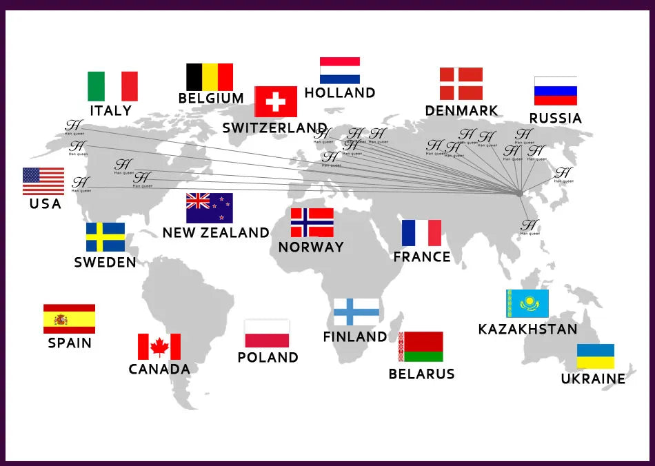 Casual Female Work Wear Office Shirts and Blouses Korean Basic Lace Shirts Women Vintage Clothing Chiffon Top