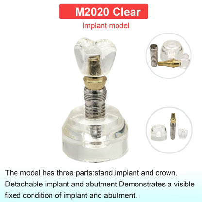Dental Teeth Model Dental Teaching Models Implant Model Removable Dentistry Model Teeth For Training Studying Patient Education