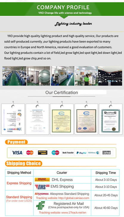 Smart IC LED COB Bulb Chip 20W 30W 50W 230V Input IP65 Waterproof for DIY Street Flood Light Projects Cold/Warm White Options