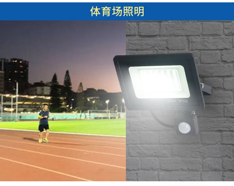 LED Floodlights 100W 50W 30W 20W 10W PIR Motion Sensor IP66 Waterproof LED 220V Hanging Exterior Outdoor Wall Lamp Spotlight
