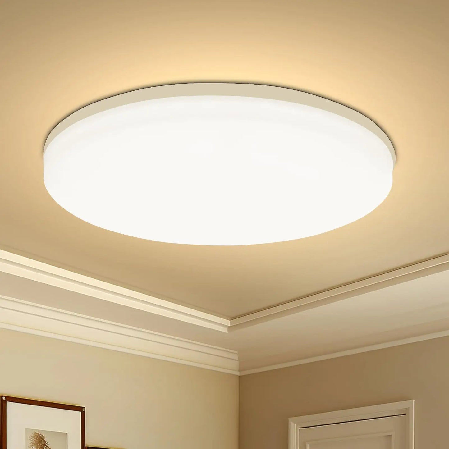 Round LED Ceiling Light Modern Home Decorative Ceiling Lighting Fixture 18/24/36/48W Living Room Bedroom Indoor Kitchen Lighting