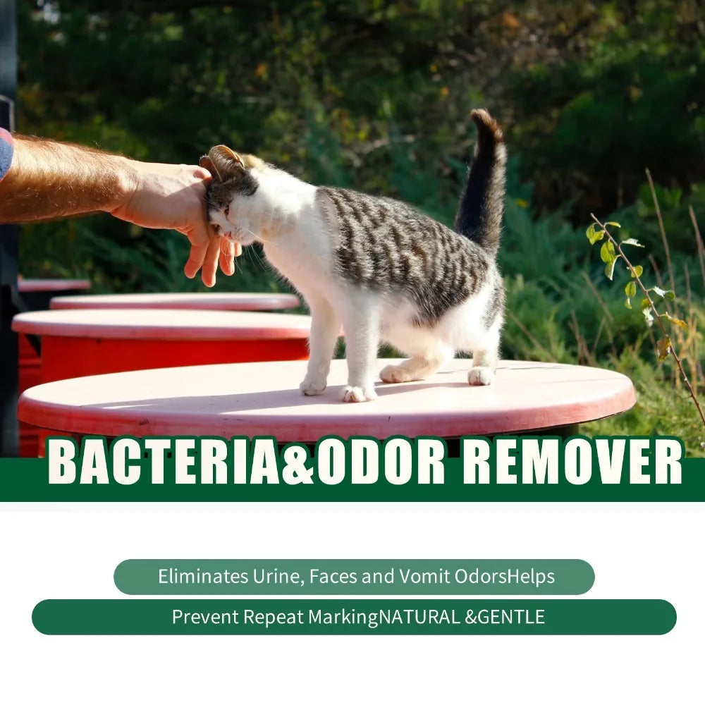 Premium Grooming Spray Dog Spray Deodorizer Perfume For Dogs - Dog Cologne Spray Long Lasting Dog Sprays - Dog Perfume Spray Lon