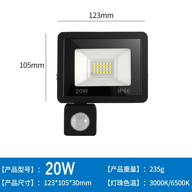 LED Floodlights 100W 50W 30W 20W 10W PIR Motion Sensor IP66 Waterproof LED 220V Hanging Exterior Outdoor Wall Lamp Spotlight