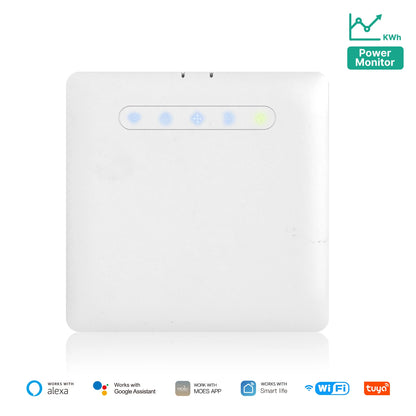 Wifi Smart Thermostat For Pilot Wire Heating Radiator Support Ecowatt Electricity Monitoring App Remote Control Alexa GoogleHome