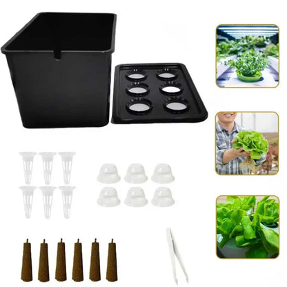 hydroponic seedling starter kit, indoor soilless vegetable and herb growing system, perfect for balcony gardening