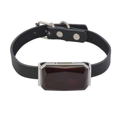 GPS Trackers IP67 Waterproof Pet Collar GSM AGPS Wifi LBS Mini for Pets Dogs Cats Sheep Cattle Tracking Locator GPS Accessories