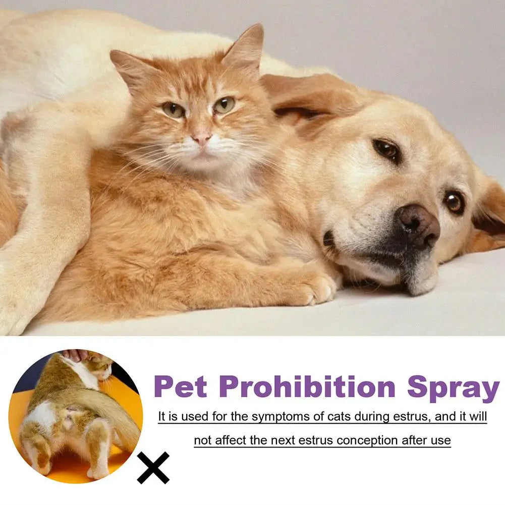 Pet Calming Spray Pet Supplies Pets Pheromone Calming Spray Improve Estrus Agitation Pet Anxiety Relief Spray Cat Dog Health