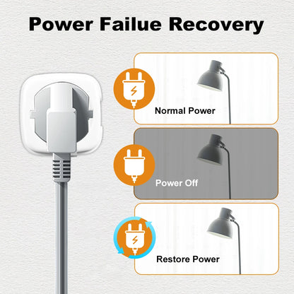 Zigbee2MQTT EU Smart Plug 20A Smart Socket With Power Monitoring Timing Function APP Voice Control Home Assistant