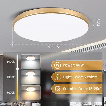 Smart Led Ceiling Light with Remote Control 3 Colors Dimmable Ceiling Lights Ultrathin Panel Lamps Bedroom Kitchen Ceiling Lamp