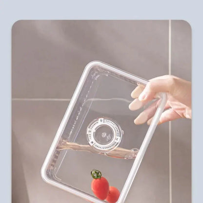 Transparent Fridge Organizer Food Storage Containers Fresh Vegetable Fruit Baskets Refrigerator Storage Box Kitchen Organizer