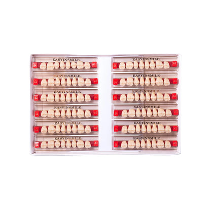 16/12 Sets/ Box Dental Teeth Anterior Posterior Polymer Denture acrylic Tooth A2 A3 2 Layers Dentistry Materials Education Model