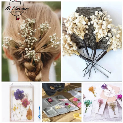 130g Natural Dried Preserved Flowers Babys Breath Home Decoration Natrual Gypsophila Wedding Decor Artificial Flower Photo Props
