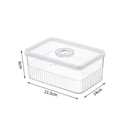 Refrigerator Storage Box Timing Fresh Fridge Organizer Vegetable Fruit Food Storage Containers Pantry Kitchen Organizer