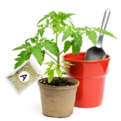 Garden Fertilizer A+B Hydroponic Plant Concentrated Easy to Use Promote Absorption Efficiency for Vegetables Flowers Grass