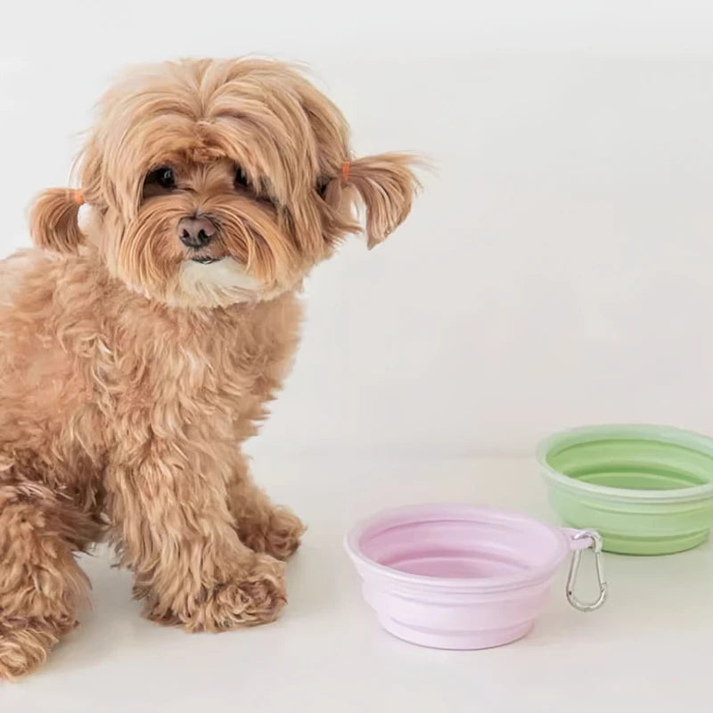 350/650ml Collapsible Pet Travel Bowl Leakproof Silicone Dog & Cat Food Water Dish Portable Outdoor Feeder with Carabiner Clip