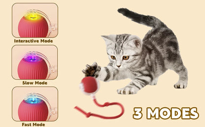 Interactive Cat Toys for Indoor Cats Rechargeable 360° Automatic Moving Cat Toy for Bored Indoor Adult Cats Motion Kitten Toys