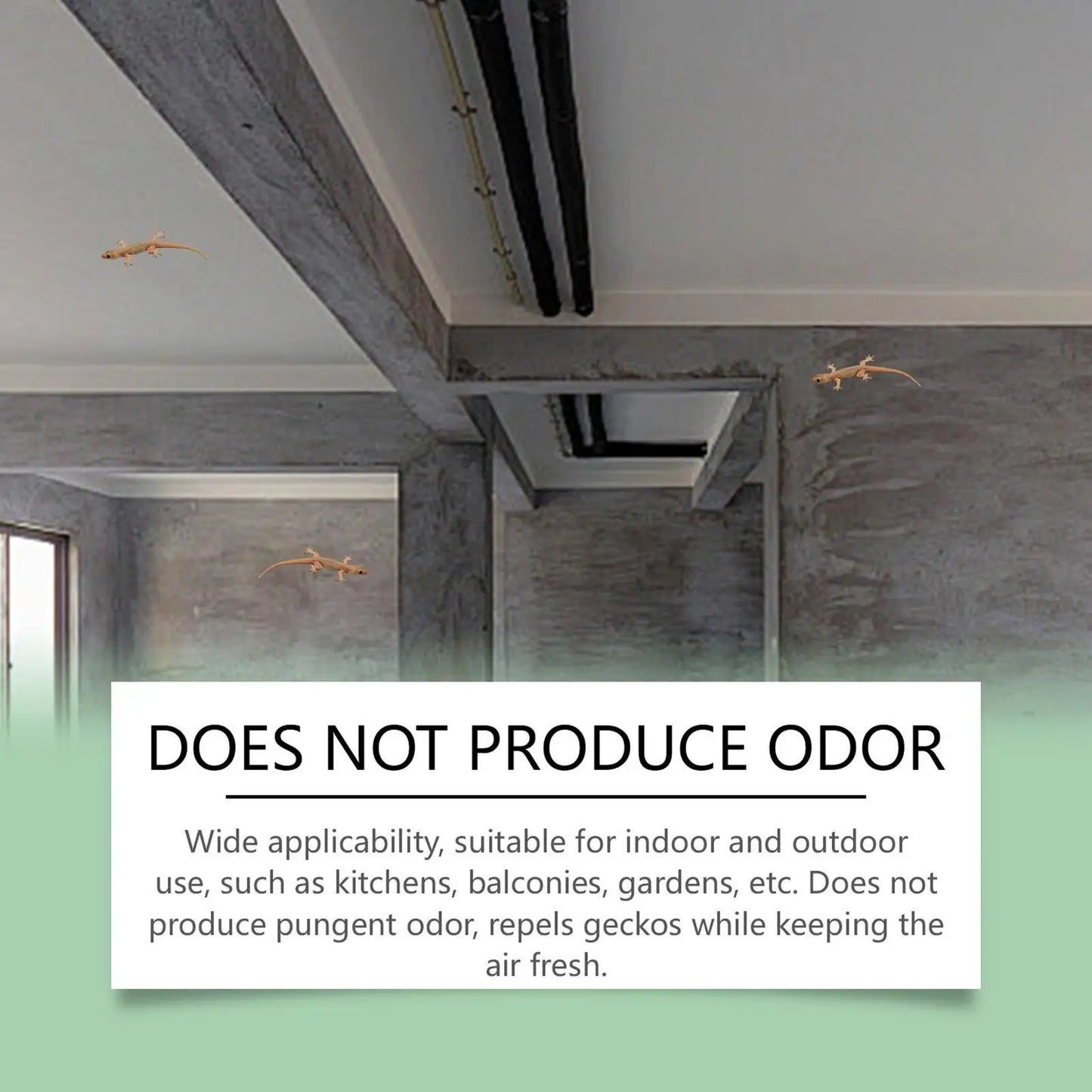 Repellents Spray Indoor 50ml Lizard Repellents Lavender Oil Gecko Spray Pet Safe Reptile Deterrents Control Powerful Repel