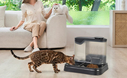 Automatic Cat Feeder FeederDog Feeder Automatic Suitable for Pets Such As Cats and Dogs Feeding and Drinking in One