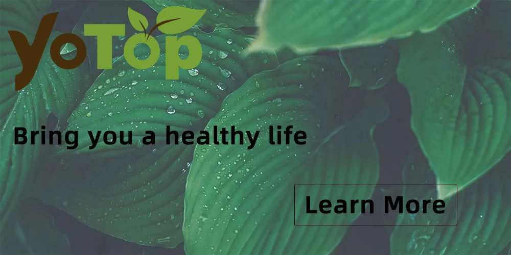 Reusable Food Storage Bag Stand Up Zip Shut Bag Leakproof Containers Fresh Vegetables Fruits Storage Bag Fresh Wrap Ziplock Bag