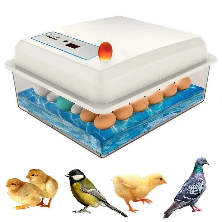 20 Eggs Incubator Turning Hatching Brooder Farm Bird Quail Chicken Poultry Farm Hatcher Turner Incubation Tool
