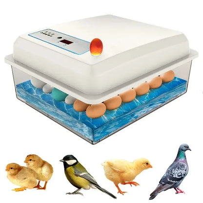 20 Eggs Incubator Turning Hatching Brooder Farm Bird Quail Chicken Poultry Farm Hatcher Turner Incubation Tool