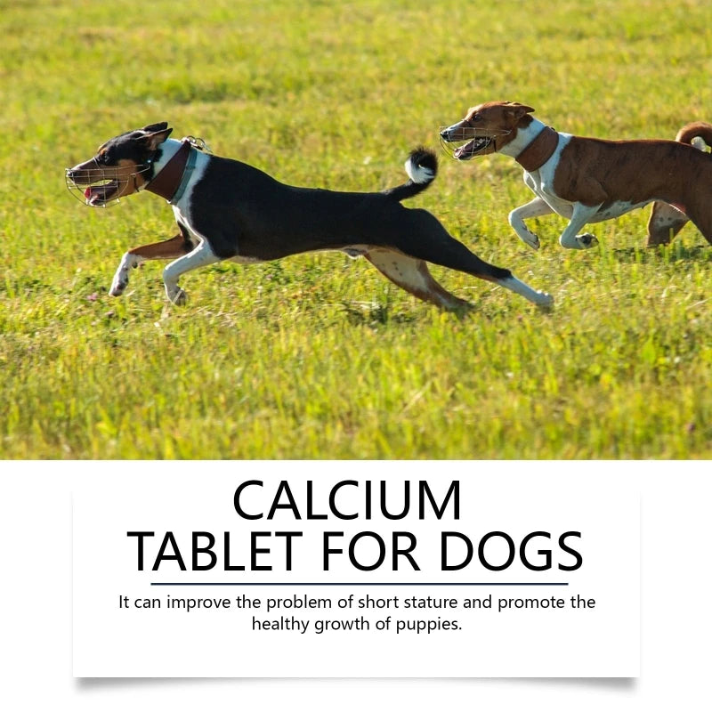 Calciums Supplements for Dogs, 80 Tablets Health Bone Joint Maintenance
