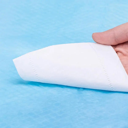 20 Pcs Disposable Changing Pads Urine Pad Breathable Sky Blue Non Woven 50x60cm Baby Newborn Diaper Pad Portable Mat