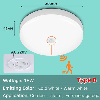 Led Ceiling Lamp With Motion Sensor 40W 30W 20W 18W 15W 12W Led Ceiling Light Fixtures For Entrance Balcony Corridor 110V 220V