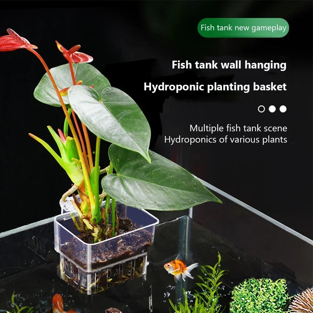 Fish  Aquarium Water Grass Cup Multiple Plant Hydroponics Hydroponic Planting Basket For Fish Tank Landscape Home Garden