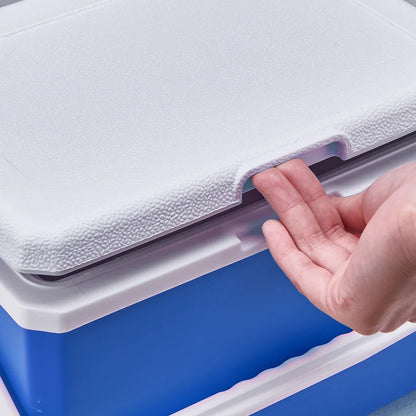 3L Car Refrigerator Camping Mini Fridge Freezer Portable Mini Fridge Cooler Fresh-Keeping Ice Box Keep Cool for Camping Travel