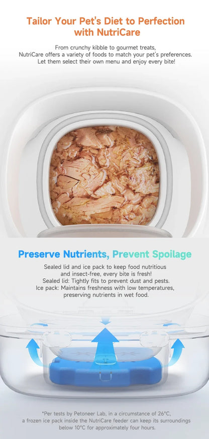 Smart Microchip Pet Timing Feeder Bowl Cats Dog Multi Pets Homes Intelligent Automatic Food Timed Feeder Supplies