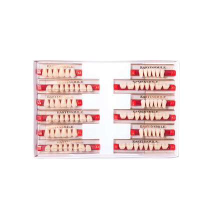 16/12 Sets/ Box Dental Teeth Anterior Posterior Polymer Denture acrylic Tooth A2 A3 2 Layers Dentistry Materials Education Model